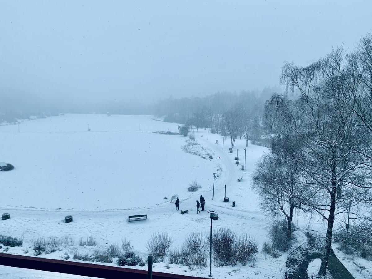 Apartment Seeblick Am Bocksberg - Hahnenklee "Vier Jahreszeiten" Goslar Luaran gambar